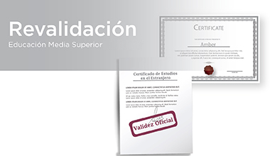 organismos auxiliares