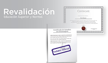 organismos auxiliares